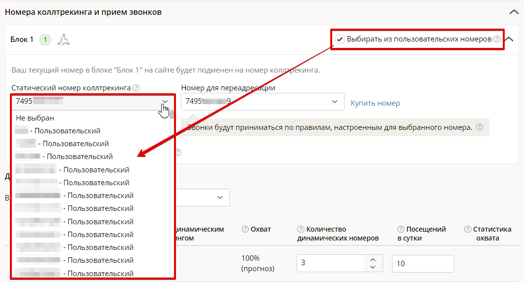 Выставить номер. Статический номер это. Интерфейс коллтрекинга. Динамические номера. Интерфейс коллтрекинга виджеты.